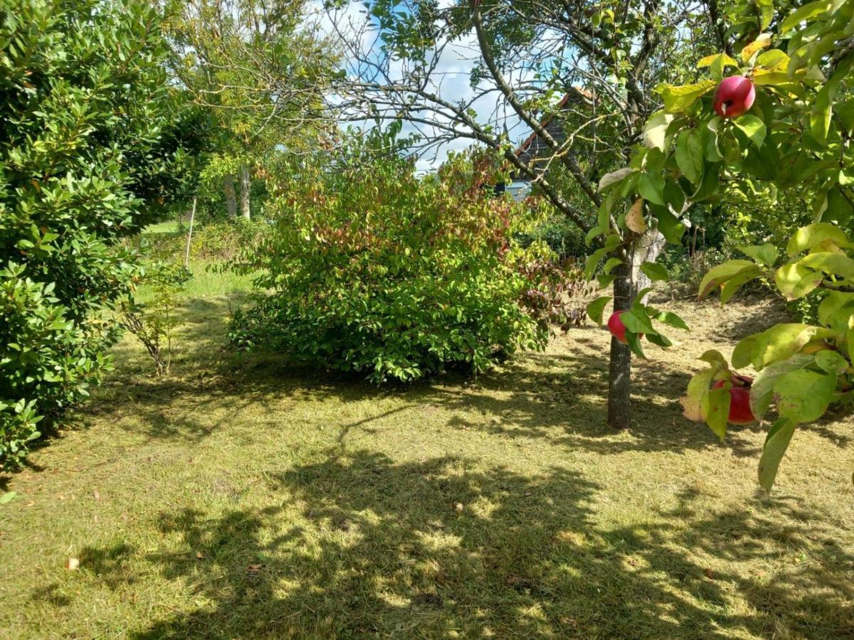 Le Jardin Secret Villa Сент Омер Екстериор снимка